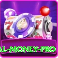 bingo - Real Money Pro